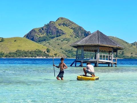 코모도 국립공원 당일 치기 여행 [핑크 비치l코모도 드래곤l박쥐 일몰l스피드보트l목선l파다르 섬l스노클링과 만타레이와 춤을l바다거북과 수영]