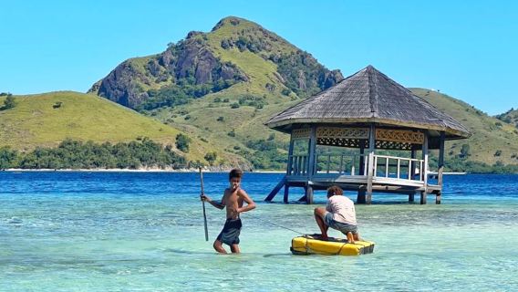 Tagesausflug zur Insel Komodo in Indonesien mit rosa Strand, Komodo-Drachen, Padar-Insel, Teufelsrochen und großen Echsen