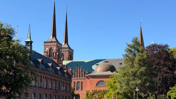 Denmark Copenhagen - Katedral Roskilde - Kapal Viking - Lawatan Sehari Sewaan Peribadi (Tiket Tidak Termasuk) - Ikut Hati