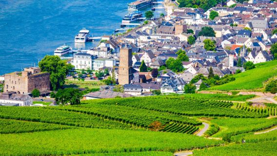Frankfurt berlepas | Kubu Heidelberg × Bandar Rüdesheim Lembah Rhine [Tiket Tidak Termasuk]