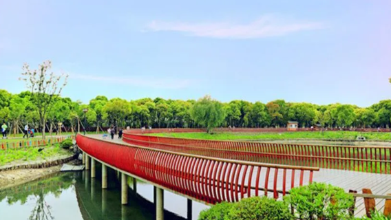 Salida desde Shanghái: excursión de un día con servicio de coche privado con conductor a la antigua calle Zhouqiao en Jiading y el parque rural Jiabei