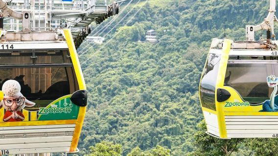 Maokong Gondola Taipei: One-Day Pass + Local Experience Choice with Discount