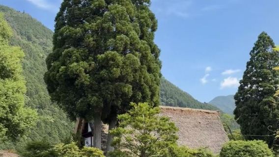 日本名古屋來回下呂&飛驒高山一日遊【溫泉體驗+全境定制】