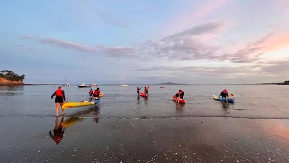 Auckland: Bioluminescence Kayak Tour with Guide