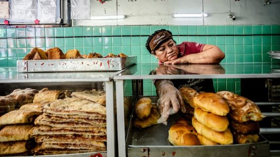 Mérida: Twilight Tastes Food Tour with 15+ Tastings