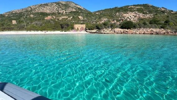 オルビア：イルカウォッチング＆湾の宝物シェア体験