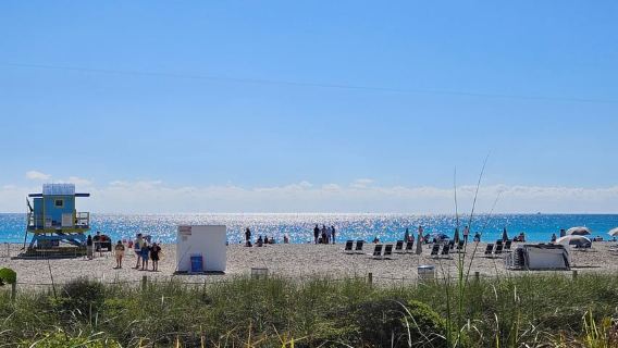 Miami Beach: Highlights Guided Bike & E-Bike Tour