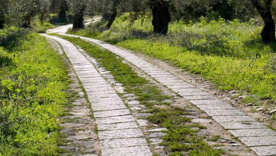Catania: Pozzo di Gaspare Farm Guided Tour with Tastings