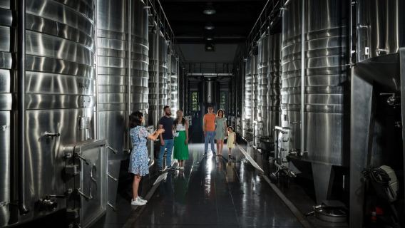 Bordeaux: Château de Reignacin kierros ja "Prestige"-maistelu
