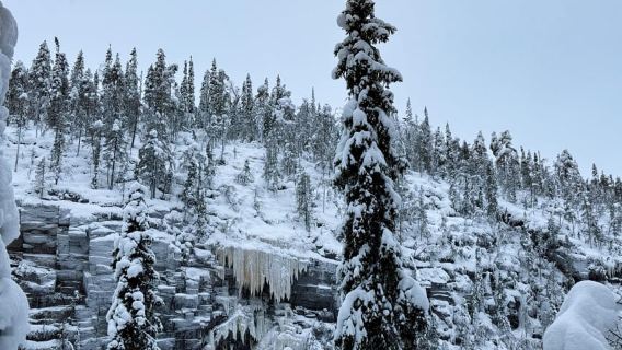 Rovaniemi: Tour en grupo pequeño por las cataratas heladas de Korouoma