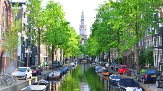 Amsterdam: Wycieczka piesza po Dzielnicy Czerwonych Latarni i Starym Mieście