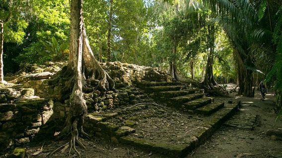 ChetumalTours