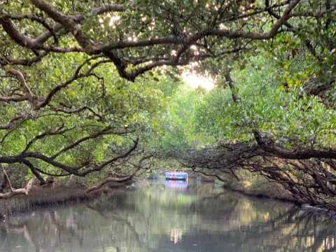 台南特色景點拼車一日遊【高雄出發｜中/英/韓語導覽】