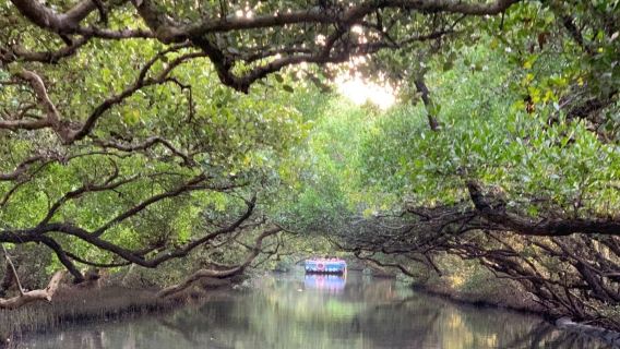 Chiayi CountyTours