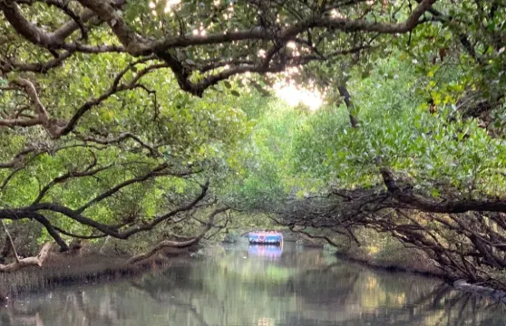 台南特色景點拼車一日遊【高雄出發|中/英/韓語導覽】