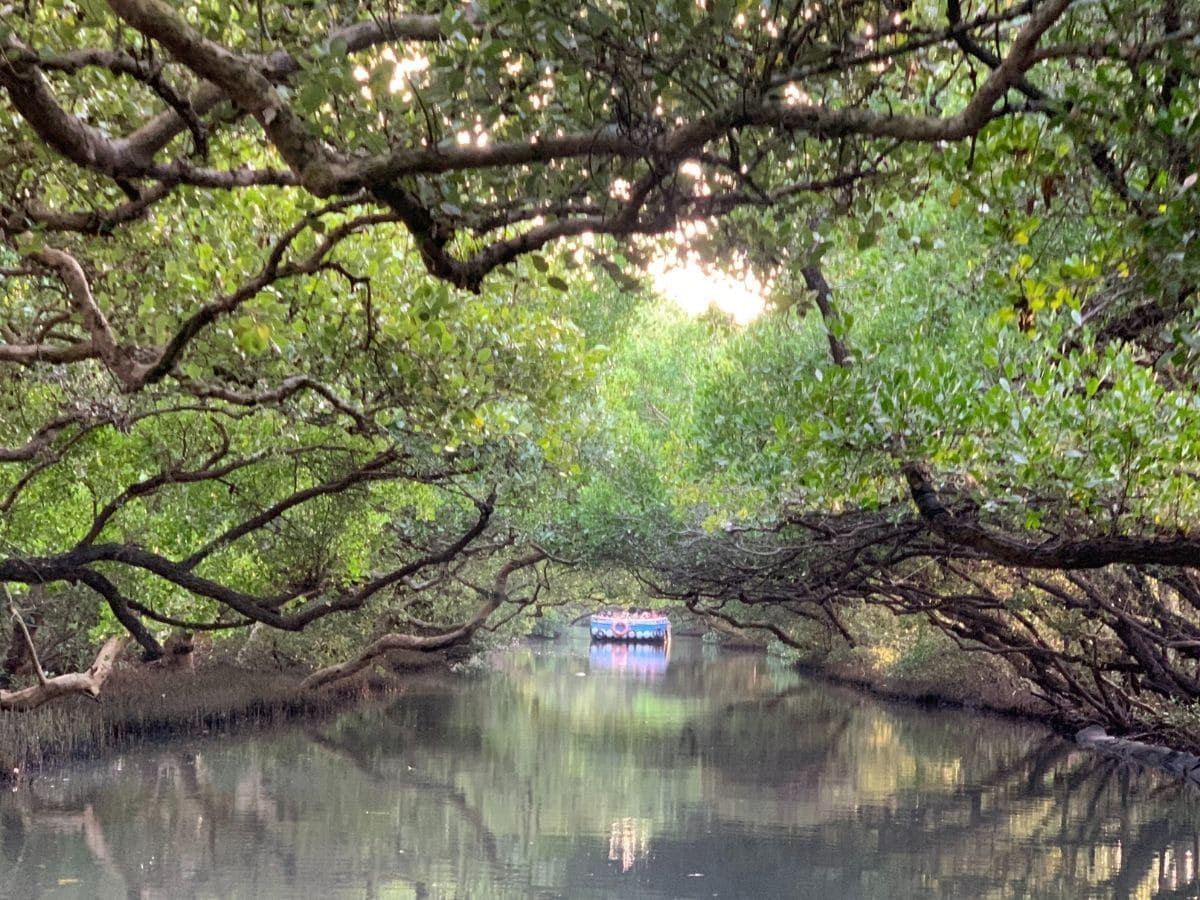 Tainan highlights one-day tour with shared transportation [Depart from Kaohsiung | Guided tour in Chinese/English/Korean]