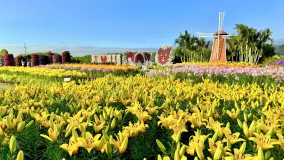 Taichung Zhongshe Flower Market + Miyahara Ophthalmology + Gaomei Wetlands day tour [departing from Taipei Ximen] with free ice cream