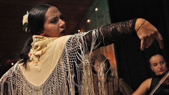 Pure Flamenco: A Taste of Andalusian Soul