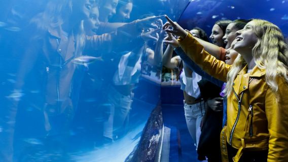 Atlantis Aquarium Madrid: Entry Ticket