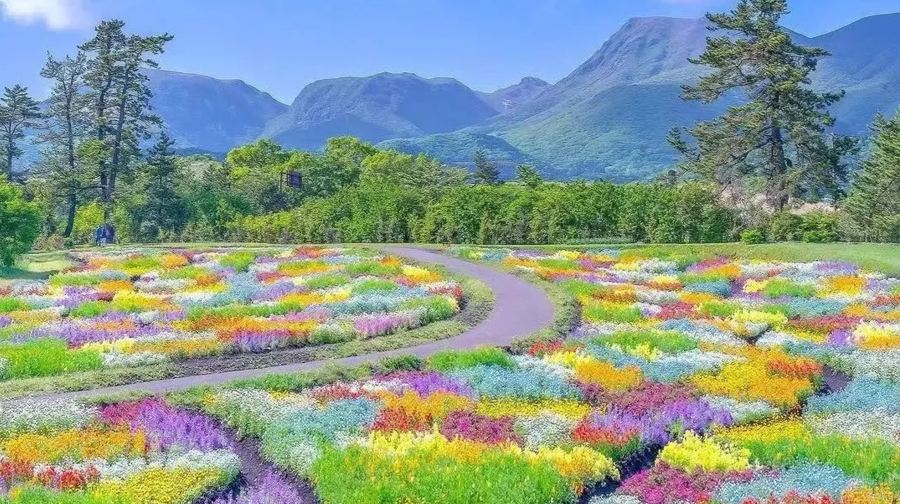 日本大分九州自然動物園一日遊：動漫童話小鎮&動物互動之旅