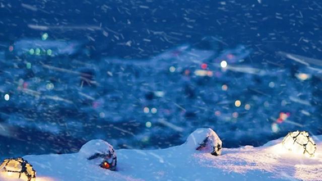 日本札幌-小樽八音盒朝裡等/可登別富良野北海道多日包車-精選