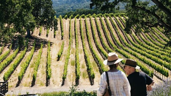 Sonoma CountyTours