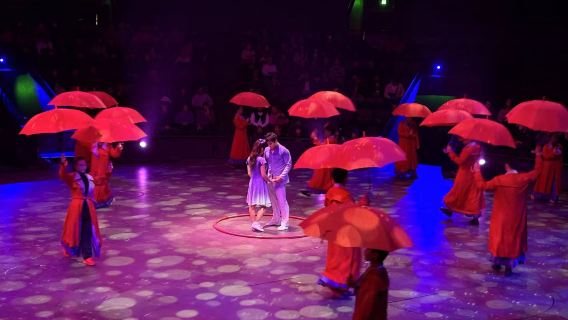 Shanghai Private Night Tour+The Bund+Yu Garden+Nanjing Road+Era Theatre Acrobatics Show