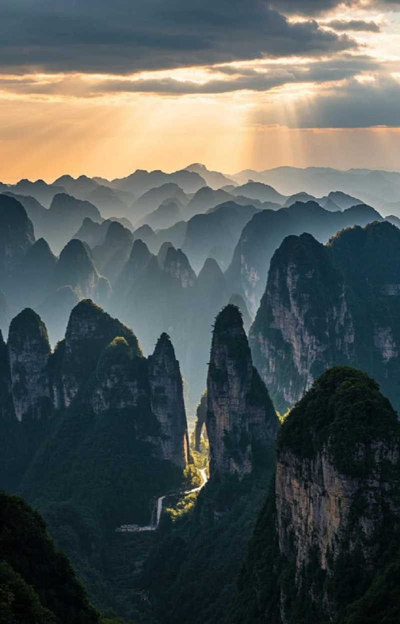 Zhangjiajie, Hunan|Monte Tianmen|Wulingyuan|Location delle riprese di Avatar|Sentiero della Frusta d'Oro - Il Mago di Oz Verde