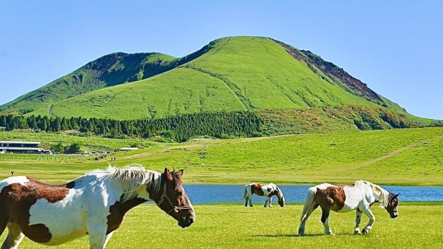 Mount Aso Day Tour