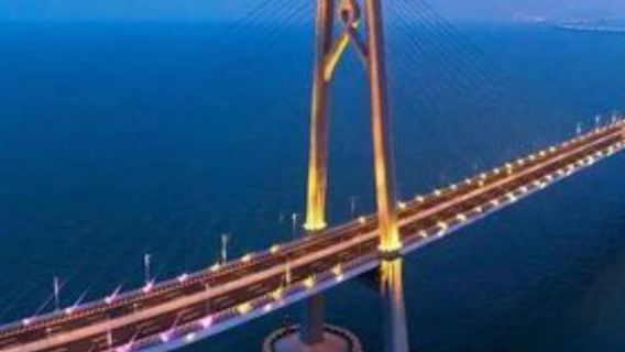 珠海公路口岸港珠澳大橋遊覽+雙層觀光巴士團/穿越海底隧道/登藍海豚島