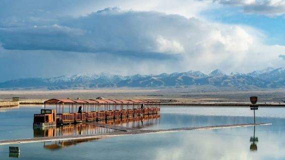 青海包車-門源觀花+祁連大草原+七彩丹霞