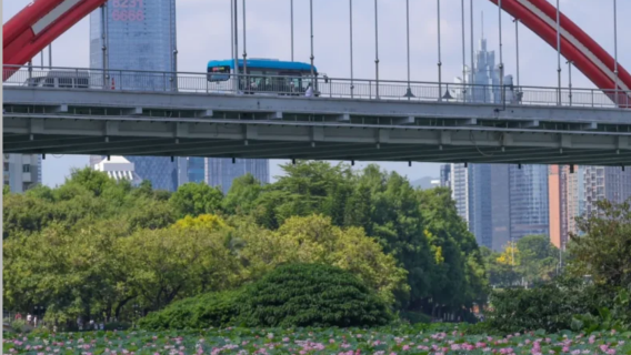 Throughout Qinghai|guide|Translation|Local guide|Business translation/Exhibition interpretation/City walk/Attraction live guide/Private charter day tour/Contact us for inquiries