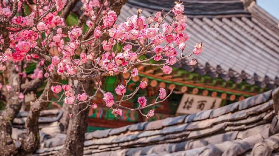 發現首爾：首爾轉轉卡-Discover Seoul Pass