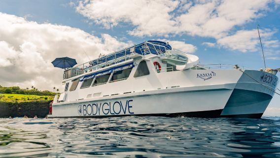 Luxury Yacht Snorkeling & Dolphin Watching Experience in Hawaii Big Island