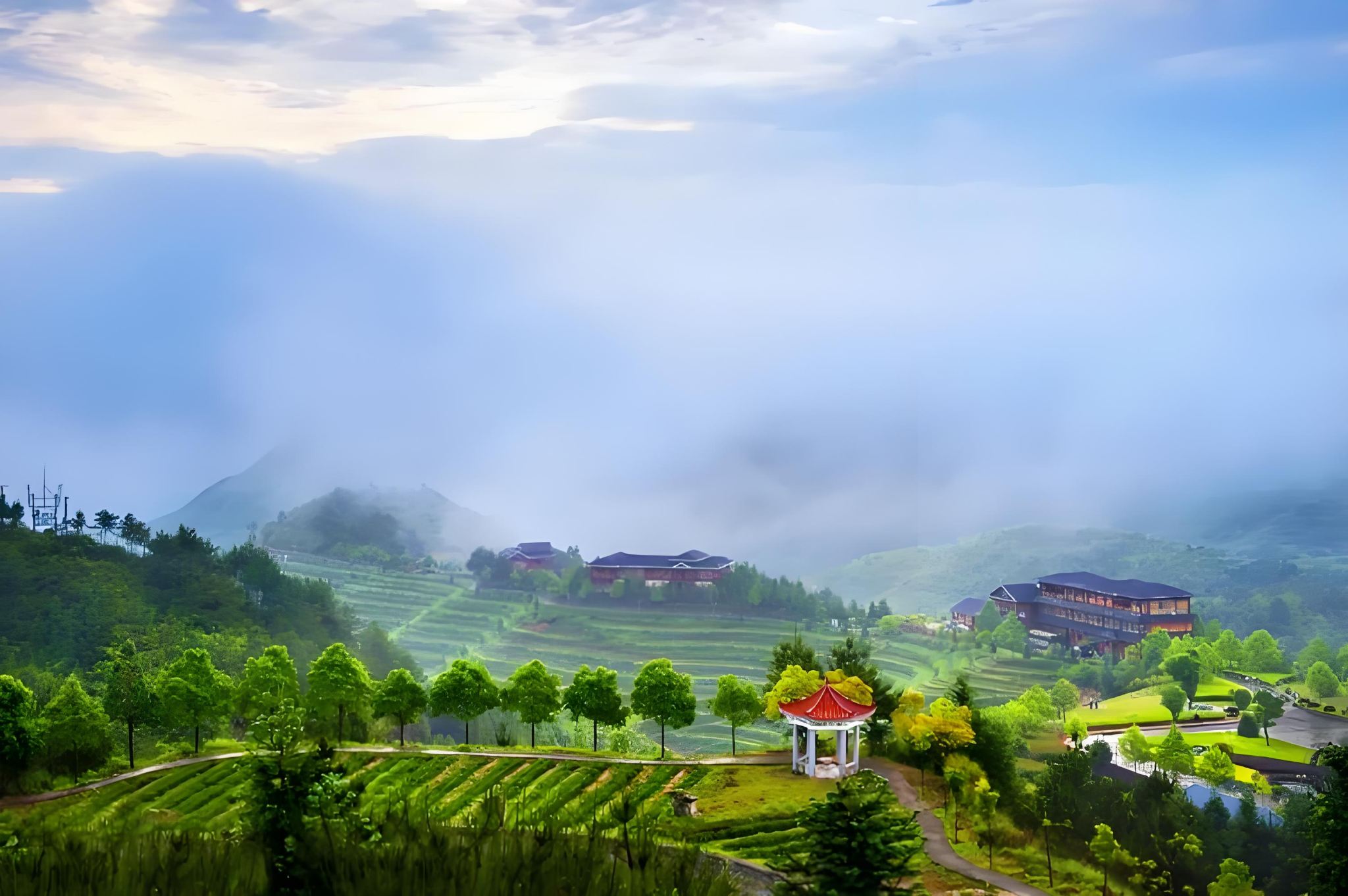 Tour del tè Anxi da Xiamen: piantagione di tè Huaxiangyuan, campi di tè ecologici e degustazione di tè