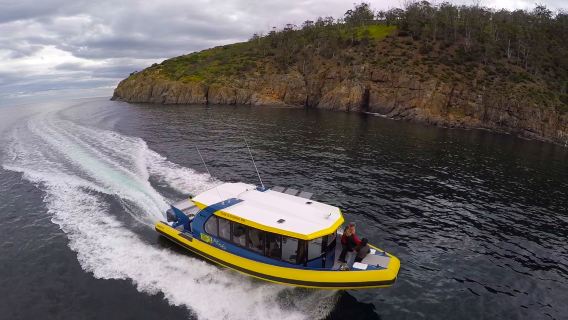 Crociera di 2,5 ore al faro Iron Pot in Tasmania