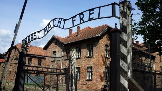 Krakow: Auschwitz-Birkenau Memorial Tour with Optional Lunch