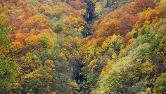 From Sofia: Rila Monastery & Boyana Church Day Tour