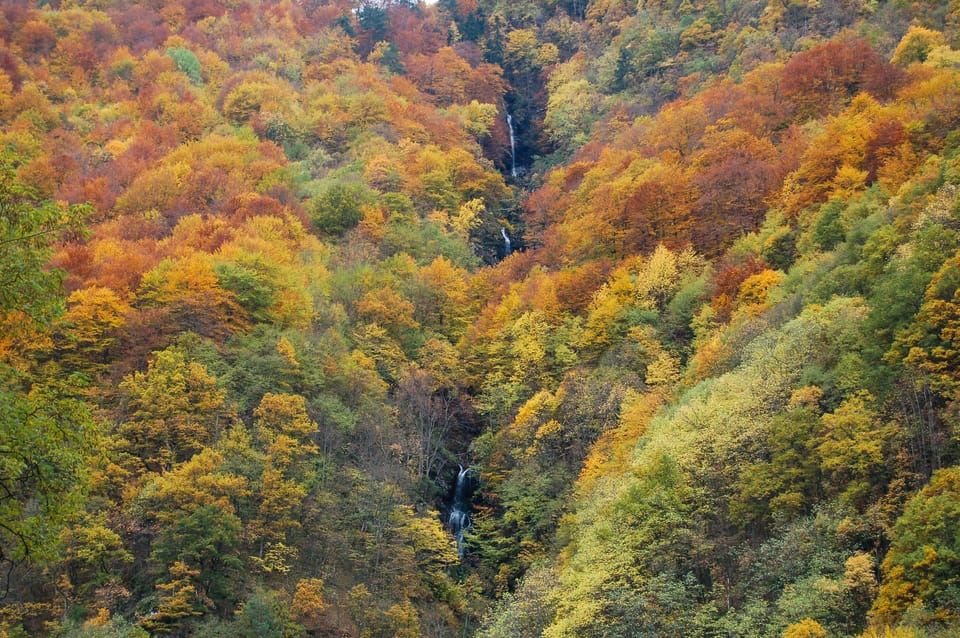 Da Sofia: Tour Giornaliero al Monastero di Rila e alla Chiesa di Boyana