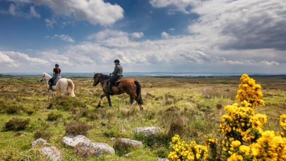Paseo a caballo por el sendero de tierra. Clare. Guiado. 1 hora.