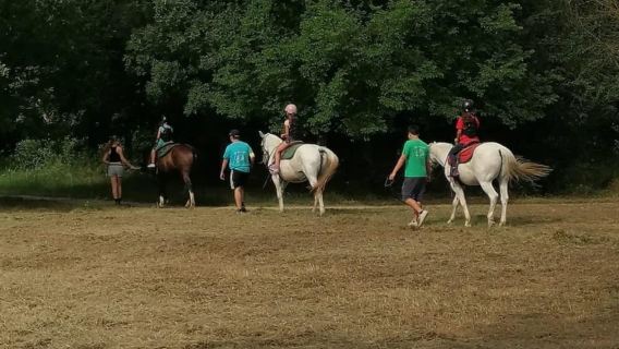 Verona: Horseback Ride Along the Adige River