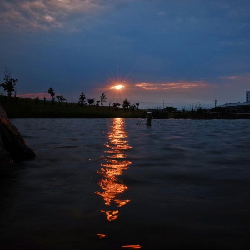 Prenota dopo la consultazione/Parco dello zoo di Asahikawa, Giappone, Parco Jingu Kotan Tokiwa, Fattoria Ueno, Parco del Sake Otokoyama/Aeroporto/Trasporto punto a punto/Guida turistica/Servizio auto privata