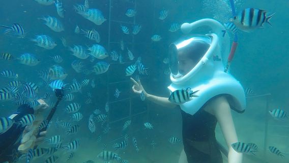 Escursione di un giorno a piedi sottomarini all'isola di Cham | Motoscafo + passeggiata sottomarina + pranzo a base di pesce + partenza da Danang/Hoi An
