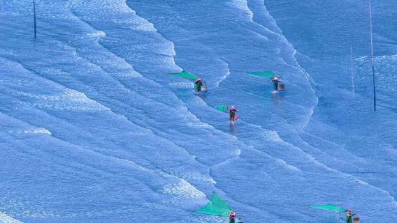 霞浦一日遊【東海一號線/可選路線/本地司導帶賞日落海岸線】
