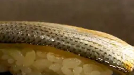 69 Kyoto's viral Japanese gourmet food - Michelin-starred sushi restaurant Gion Matsudaya