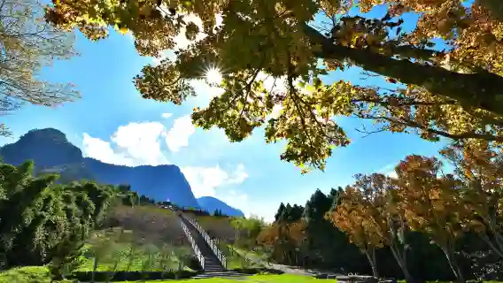 豐山漫步雲端步道賞花觀瀑行