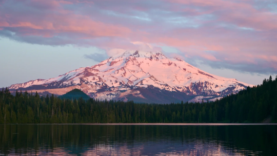 Excursión de un día por el circuito Hood-Columbia en Portland