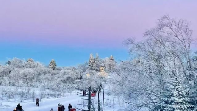 Changbai Mountain Xianfeng Snow Ridge 1-day tour with reliable local driver for a worry-free experience and exclusive vehicle service