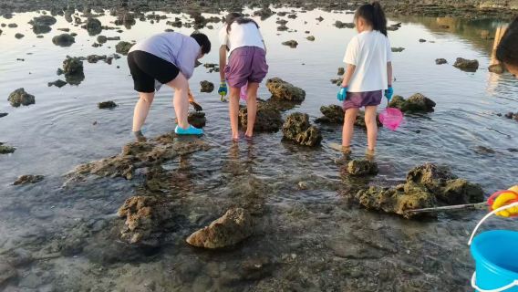 【陵水趕海】專業領隊帶隊 體驗疍家人海上生活 提供工具 收穫皆可帶走 戶外親子活動