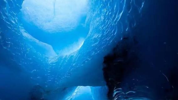 美國費爾班克斯狗拉雪橇+珍娜溫泉+北極博物館【中文定制包車】